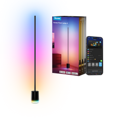 Govee Floor Lamp 2